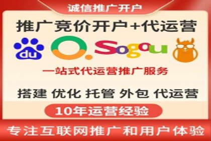 百度竞价广告投放全解析：成功案例揭秘